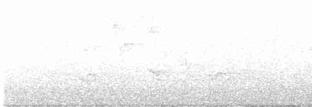 Чернокрылая пиранга - ML618758428