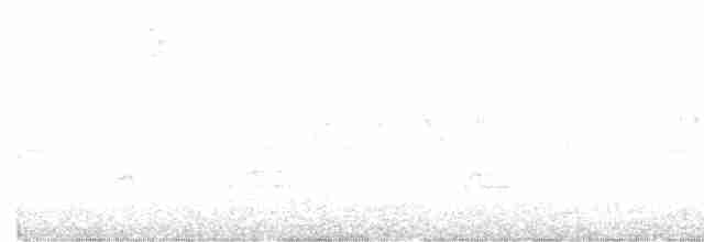 svarthodetykknebb - ML618758752