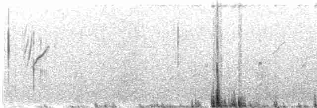 Атласная нектарница - ML618758908