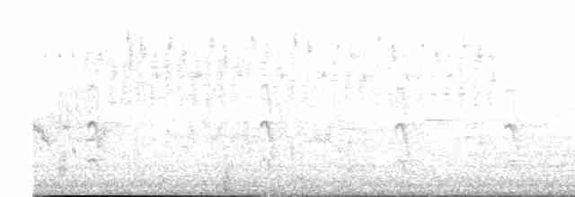 Common Tern - ML618759232