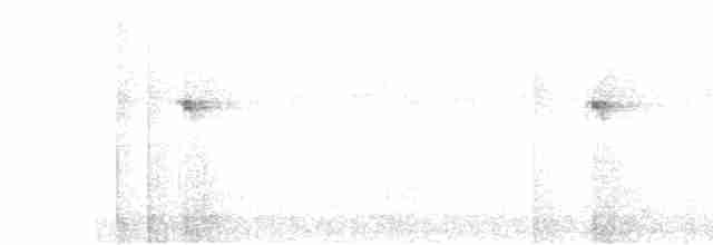 Сичик-горобець цейлонський - ML618759318