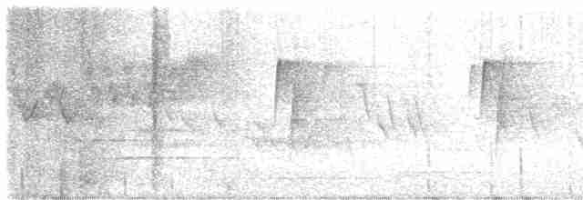 Cerulean Warbler - ML618759515