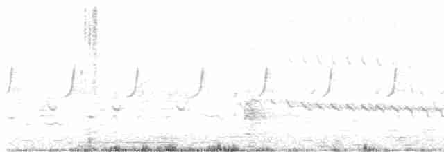 langhaleskredderfugl - ML618760276
