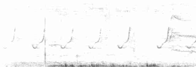 langhaleskredderfugl - ML618760277