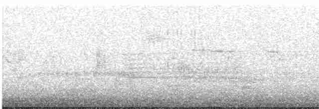 Пересмішник сірий - ML618760461