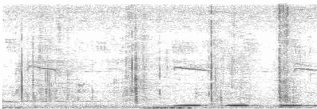 斑文鳥 - ML618760710