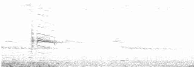 斑文鳥 - ML618760714