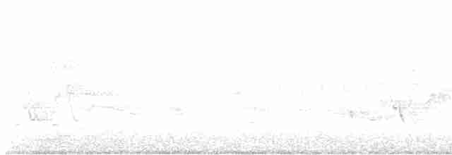 Черногорлая хвойница - ML618760768