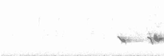 Чернокрылая пиранга - ML618761279