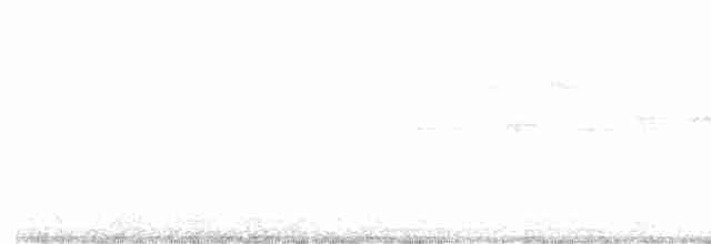 Yeşil-Mor Kırlangıç - ML618762179