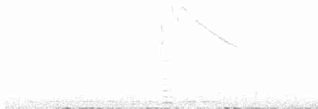 Каллиопа-звёздочка - ML618762214