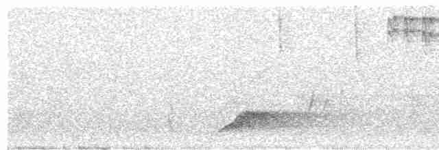 Black-streaked Scimitar-Babbler - ML618762977