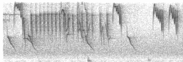 Gri Başlı Kanarya Sinekkapanı - ML618763069