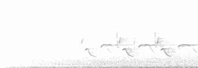 Каролинский крапивник - ML618763096