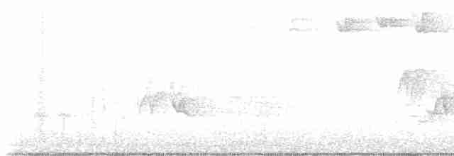 Blackpoll Warbler - ML618763185