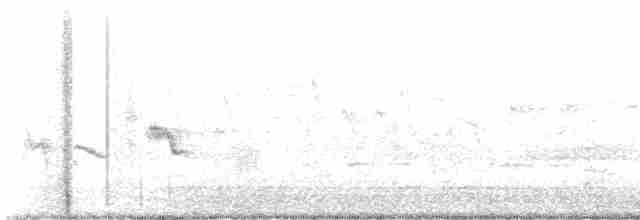 Oriole des vergers - ML618763541