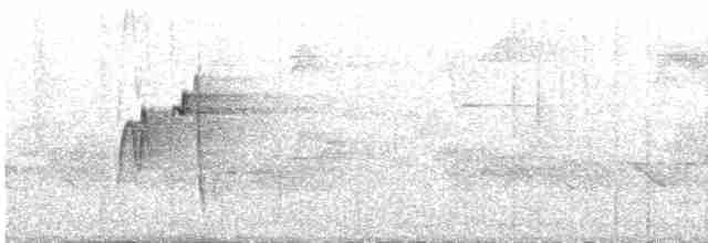 Acadian Flycatcher - ML618763664