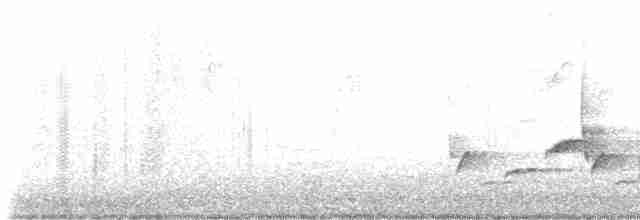 Поплітник каролінський - ML618763778