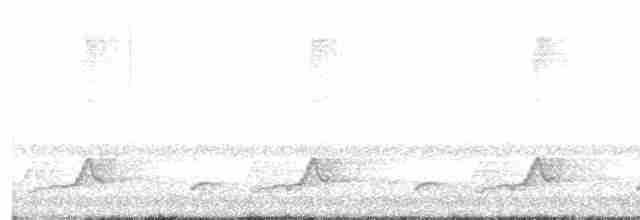 Schwarzkehl-Nachtschwalbe - ML618763782