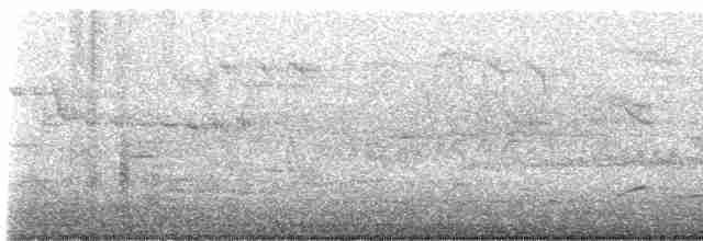 Eurasian Wren - ML618764011