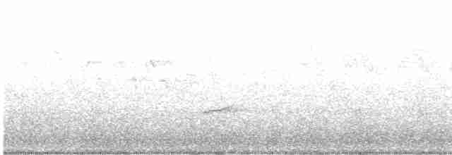 Дрізд-короткодзьоб Cвенсона - ML618764292