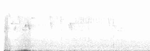 Turuncu Ardıç - ML618764547