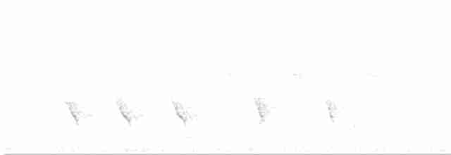 斑胸秧雞 - ML618764802