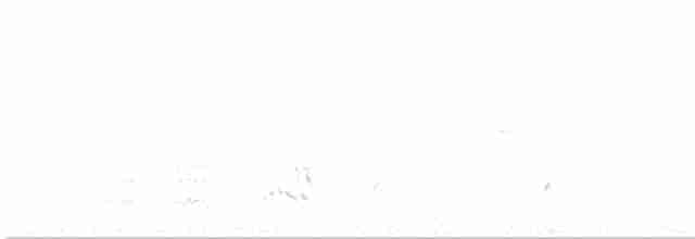 斑胸秧雞 - ML618764803