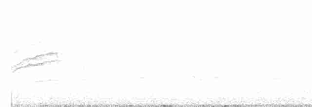 Дрізд-короткодзьоб плямистоволий - ML618764888
