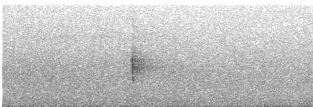 Чернокрылая пиранга - ML618765795