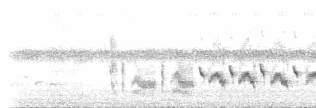 Western Orphean Warbler - ML618766774