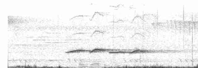 Тимелія-клинодзьоб світловола - ML618766919