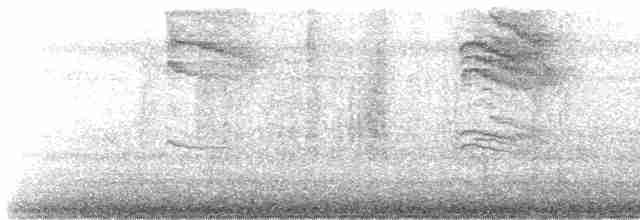 nordmyggsmett (caerulea) - ML618767078