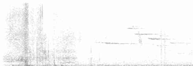 Віреон світлобровий (підвид gilvus) - ML618767232