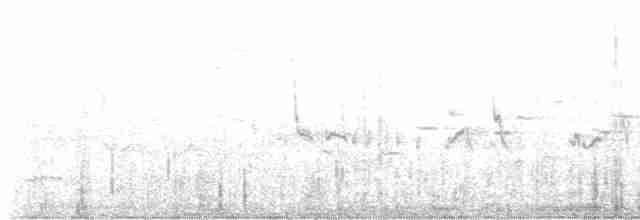 Great Reed Warbler - ML618767300