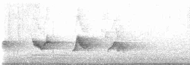 Kara Kanatlı Piranga - ML618768404