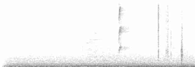Черноголовый толстонос - ML618769288