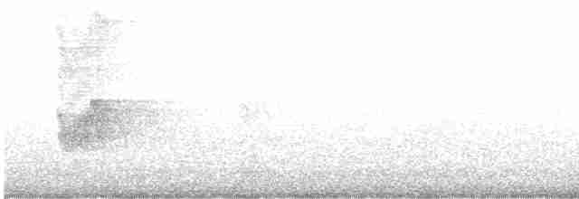 Savannennachtschwalbe - ML618769710