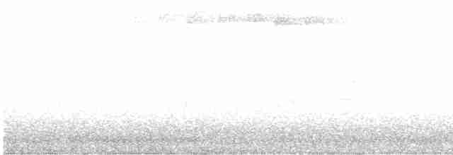 Blackpoll Warbler - ML618770356
