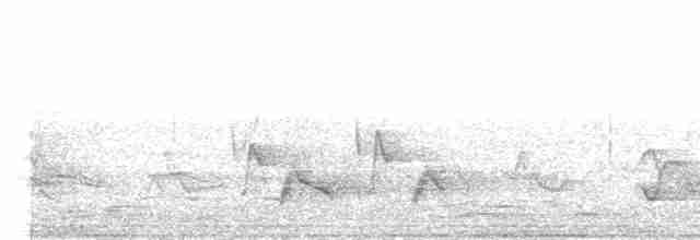 Ring-necked Pheasant - ML618771599