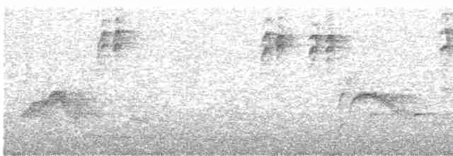 Gri Yanaklı Bülbül Ardıcı - ML618772147