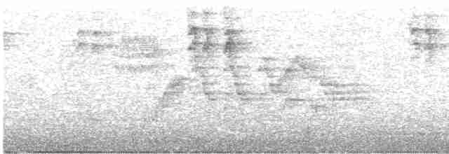 Gri Yanaklı Bülbül Ardıcı - ML618772155