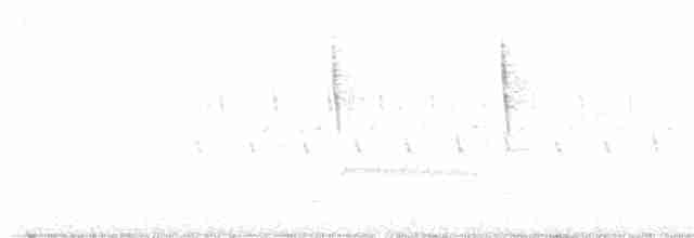Troglodyte des marais - ML618772257