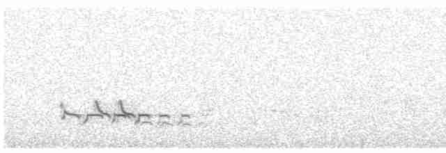 Common Redshank - ML618773470