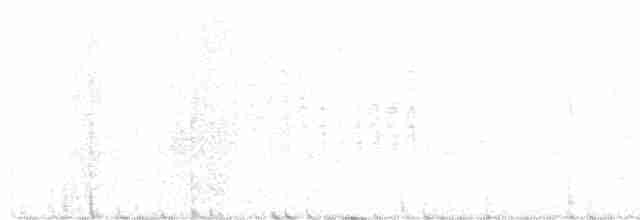 Черноухая крачка - ML618773589