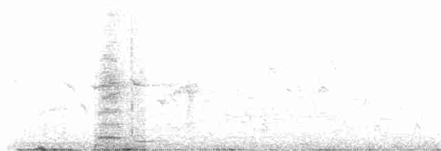 Common Gallinule - ML618773769