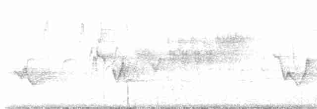 Cerulean Warbler - ML618775741