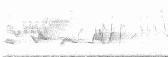 Cerulean Warbler - ML618775751