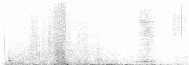 Юнко сірий (підвид hyemalis/carolinensis) - ML618776743