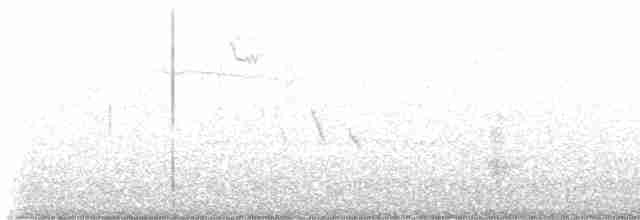 White-eyed Vireo - ML618777465